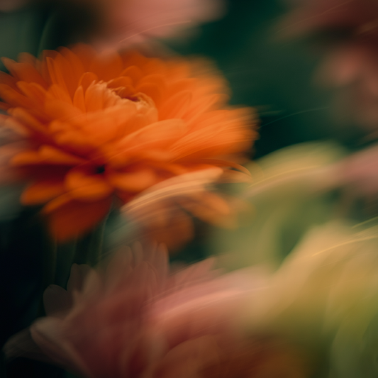 Scent & Memory: Why Fragrances Feel So Personal