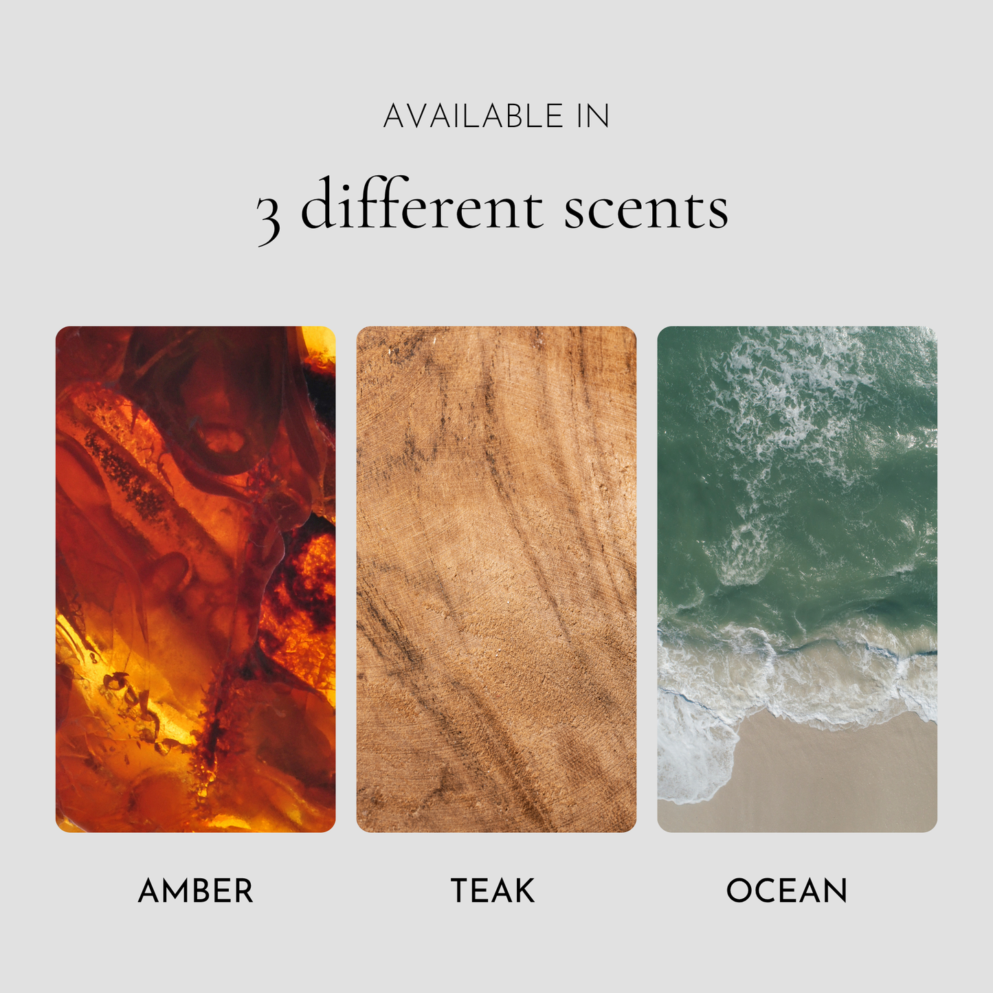 AERIS Wood Car Air Freshener – Scented Wood Chip Refill (Refill Only)