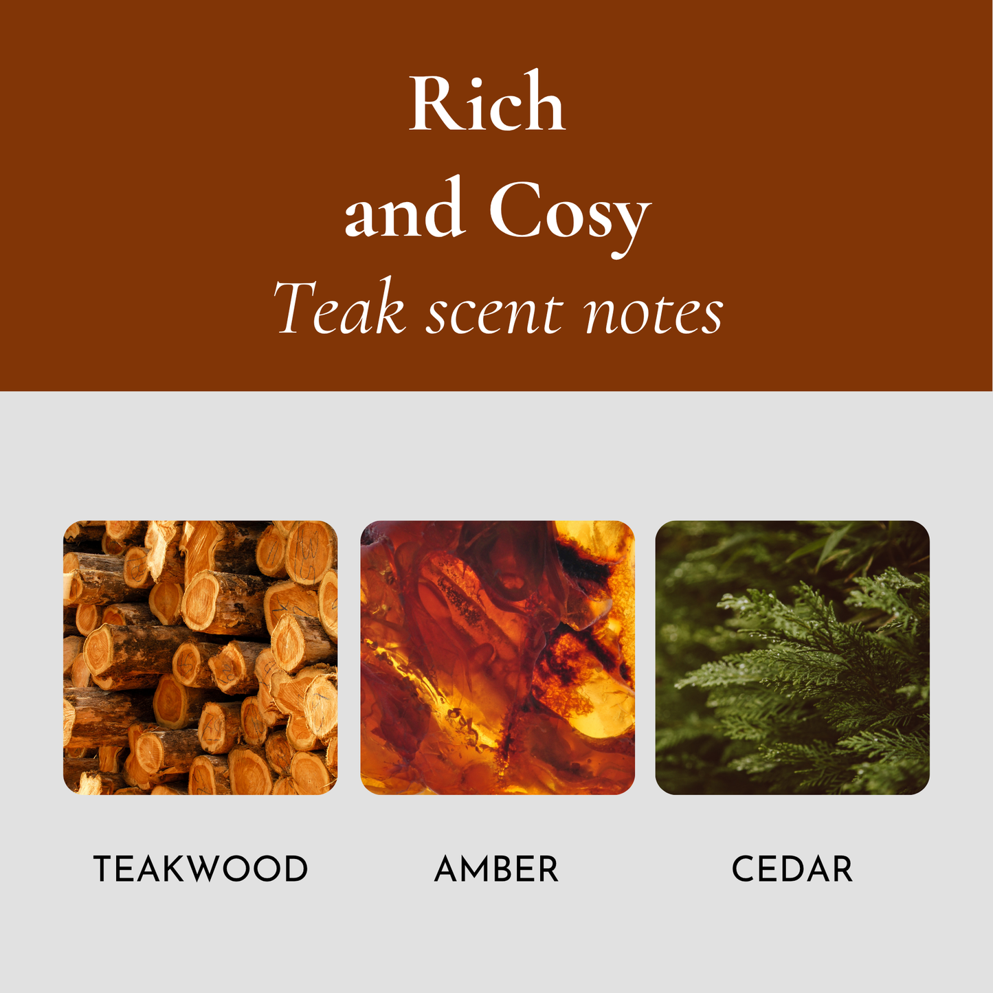 AERIS Wood Car Air Freshener – Scented Wood Chip Refill (Refill Only)