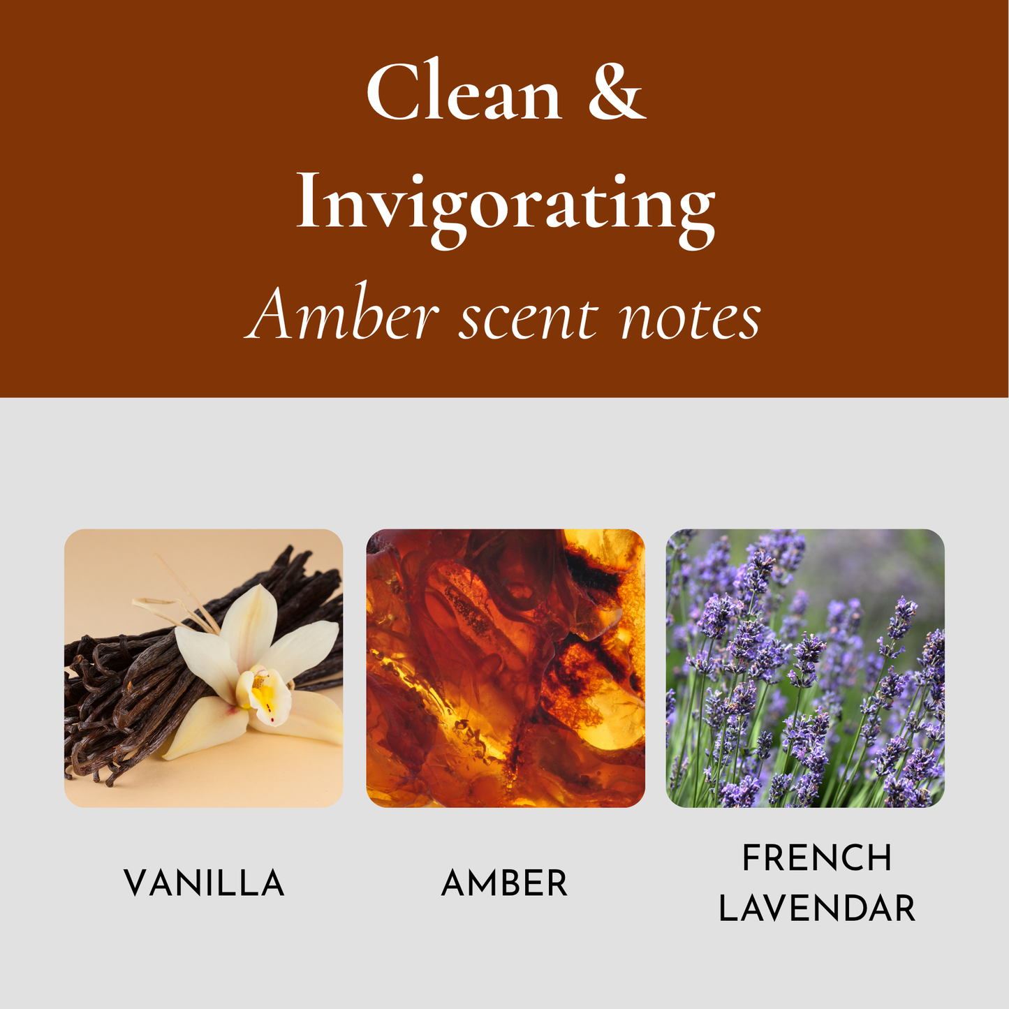 AERIS Wood Car Air Freshener – Scented Wood Chip Refill (Refill Only)