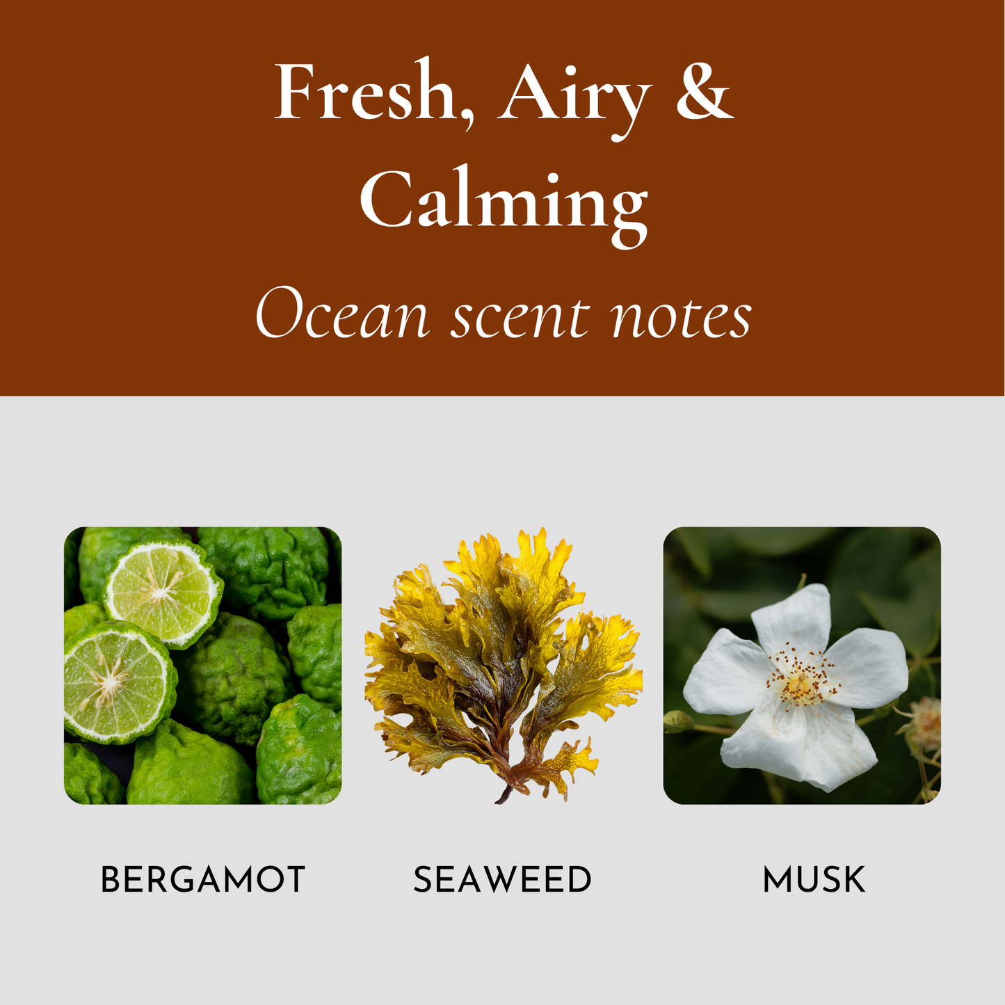 AERIS Wood Car Air Freshener – Scented Wood Chip Refill (Refill Only)