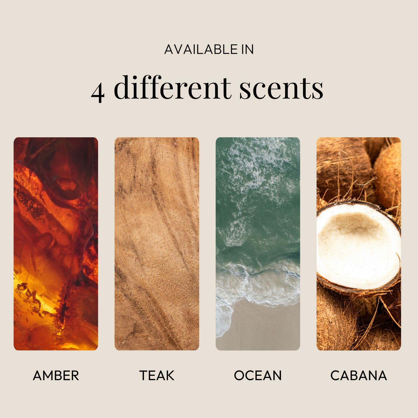Starter Duo Pack – Clip + 2 Scented Stone Chip Refills