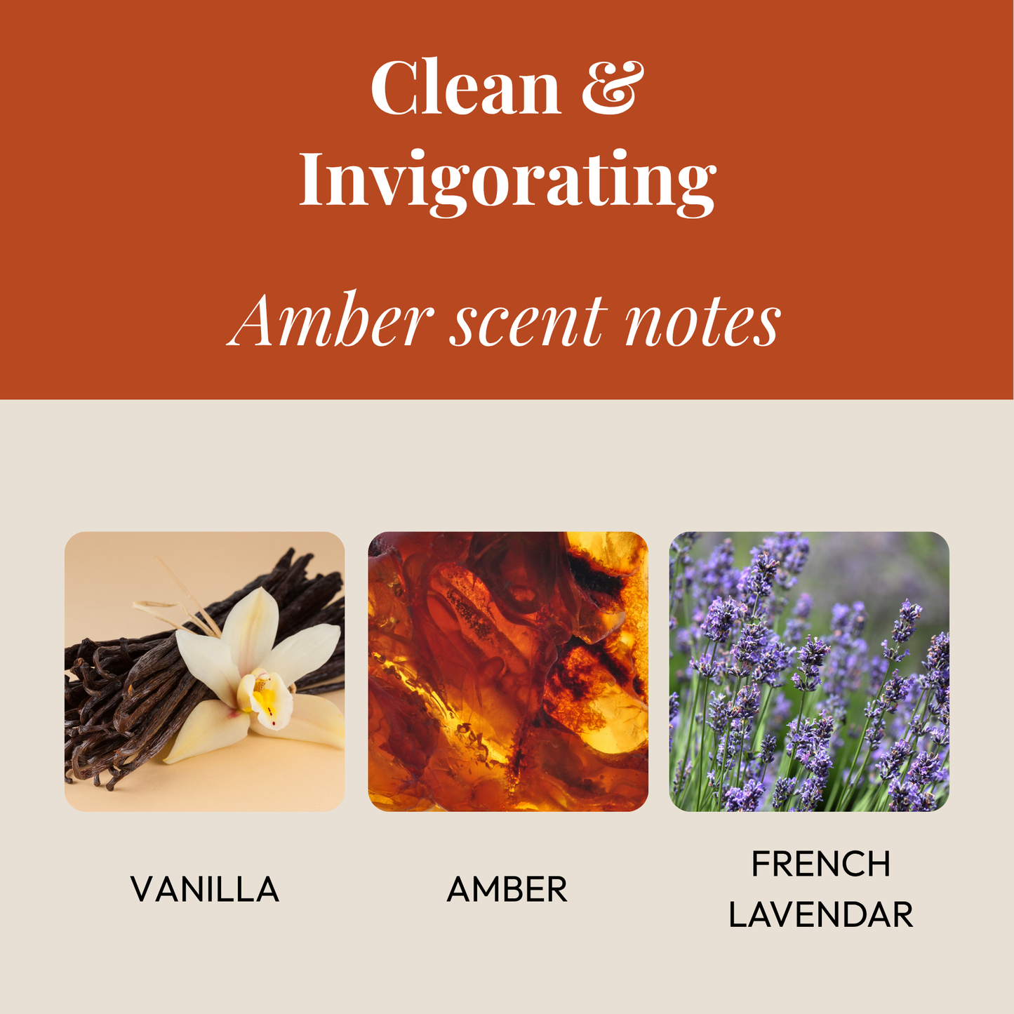 Starter Duo Pack – Clip + 2 Scented Stone Chip Refills