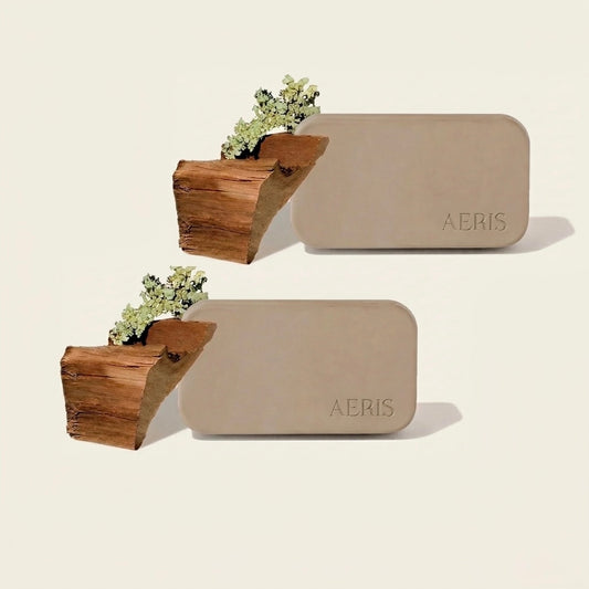 2 Pack Refills- 2 Scented Stone Chips
